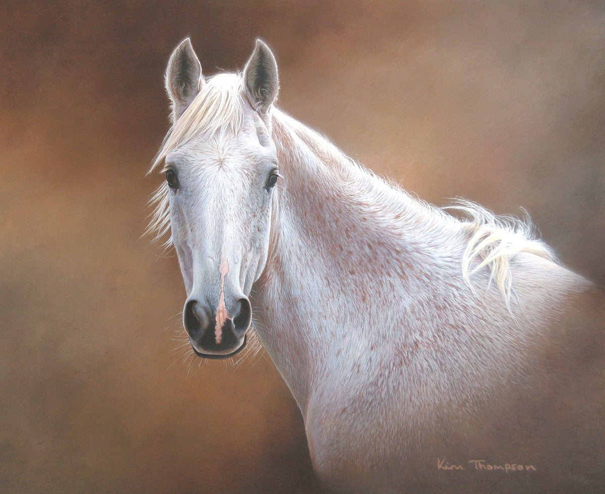 Silver Lady