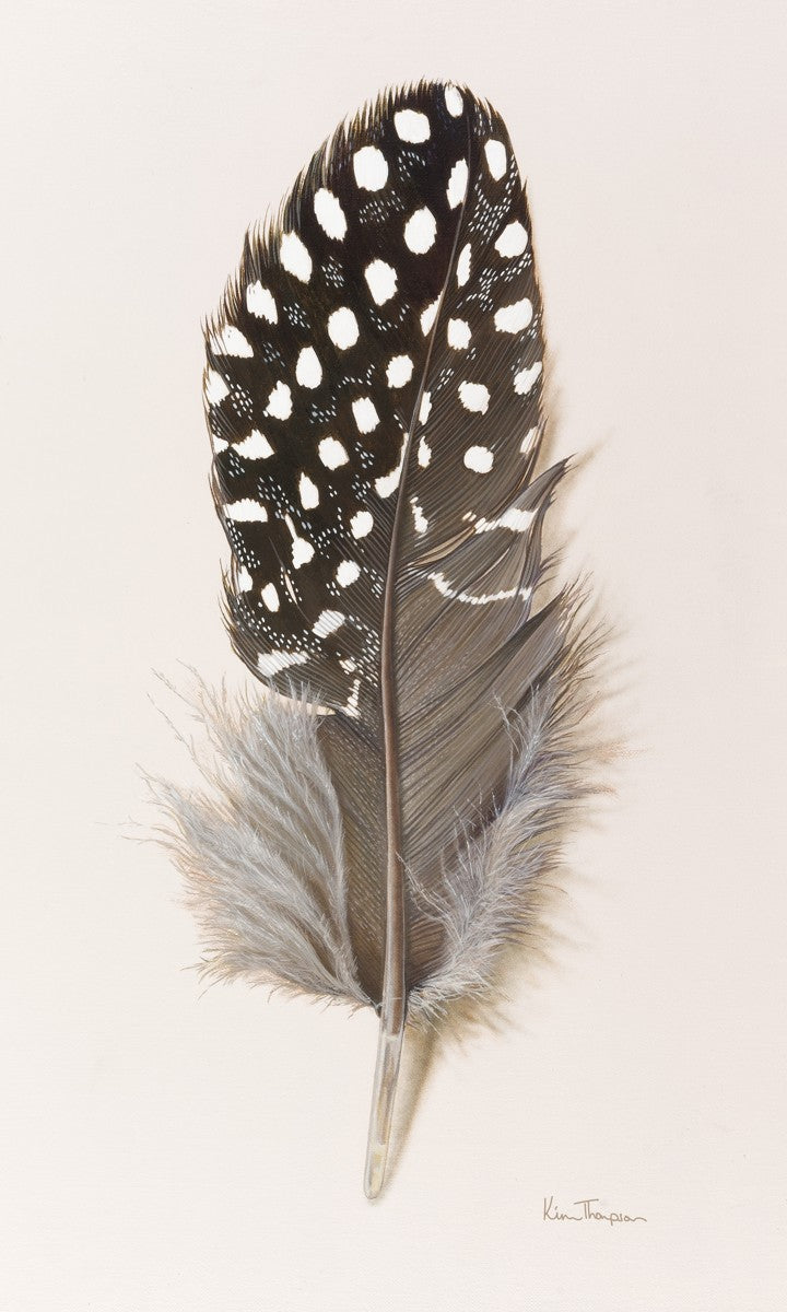 Guinea Fowl Feather