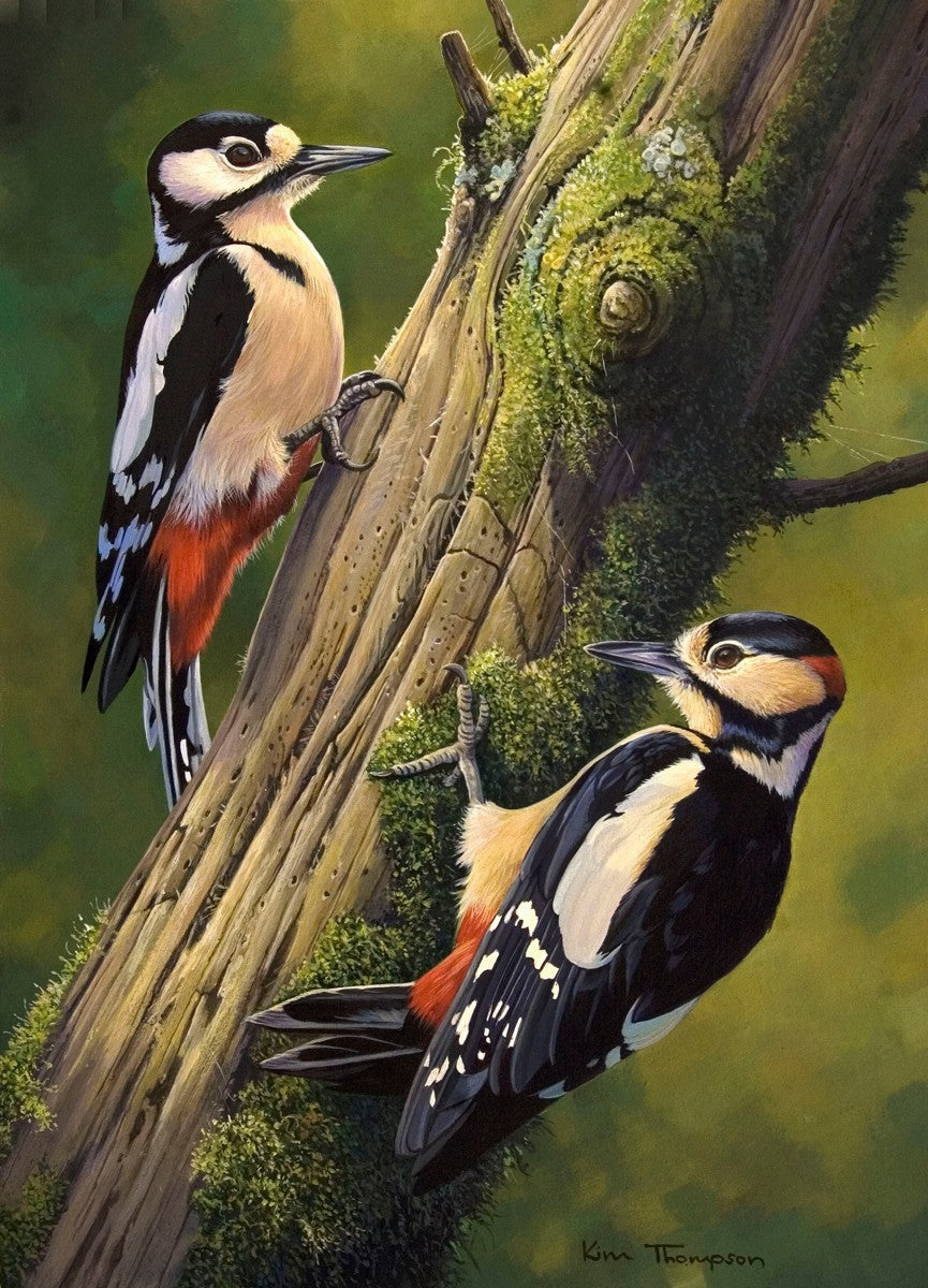 Greater Spotted Woodpecker
