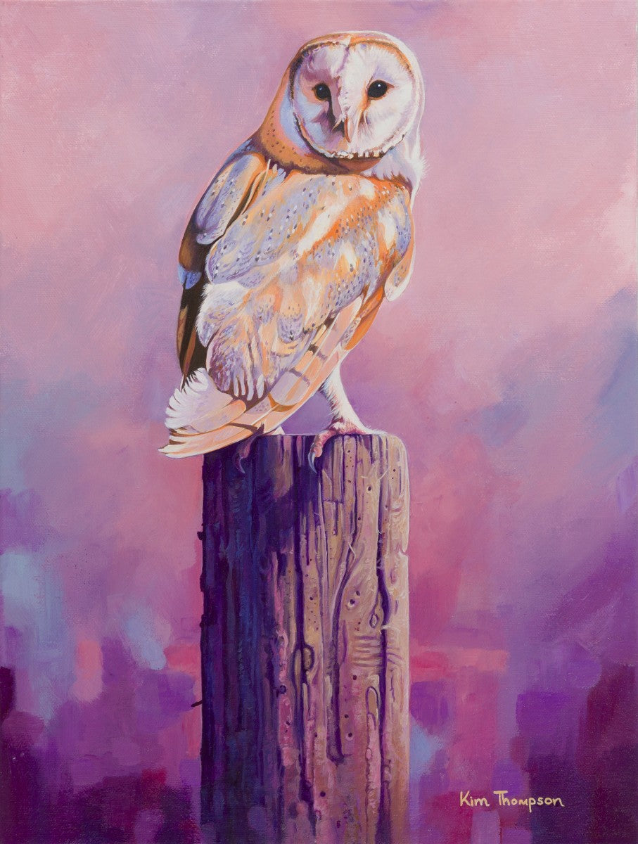 Barn Owl Sunset