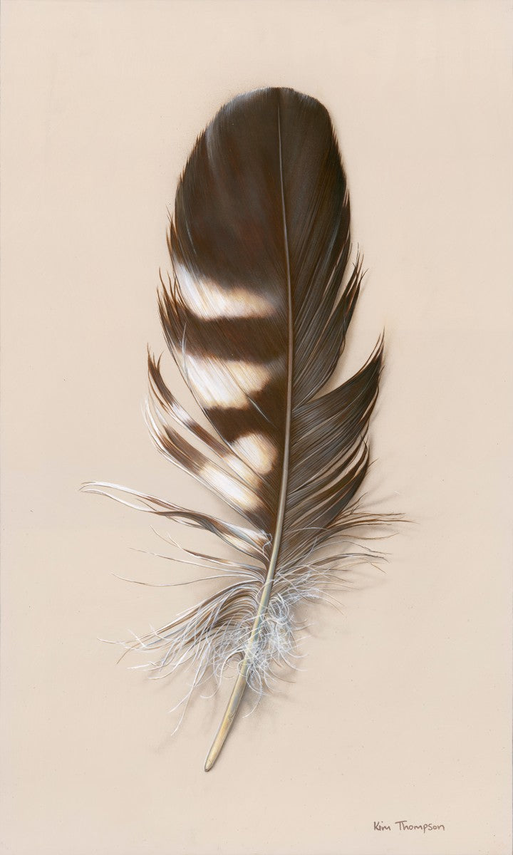 Tawny Owl Feather