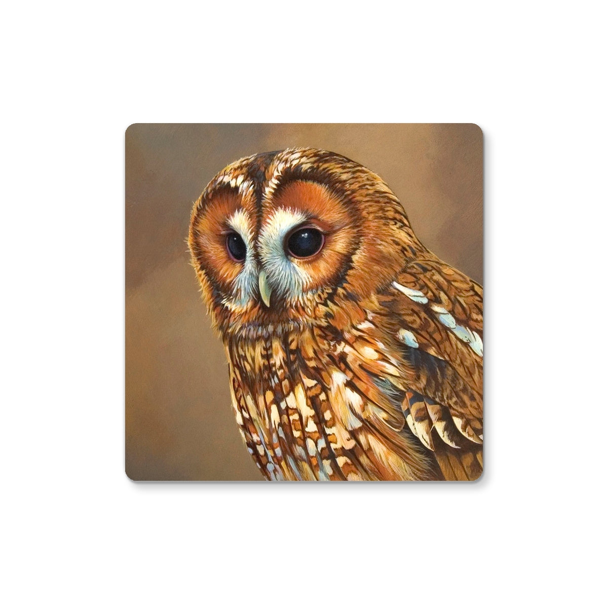 Tawny Owl II Coaster