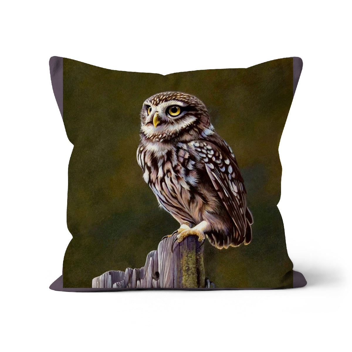 Little Owl Cushion