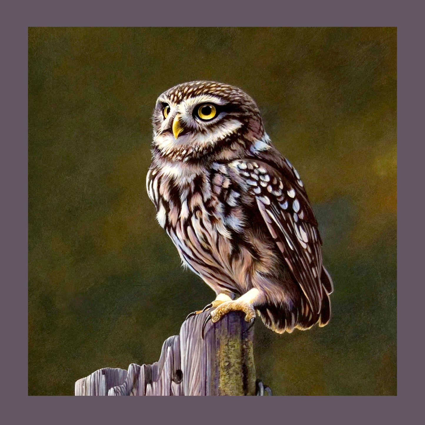 Little Owl Cushion