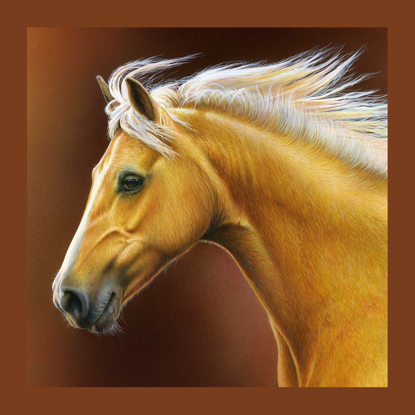 Palomino Cushion