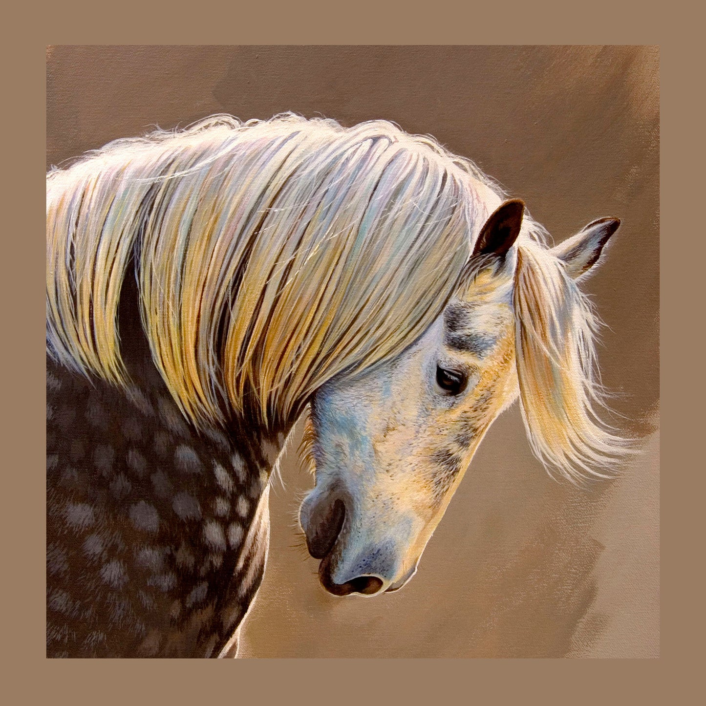 Percheron Cushion