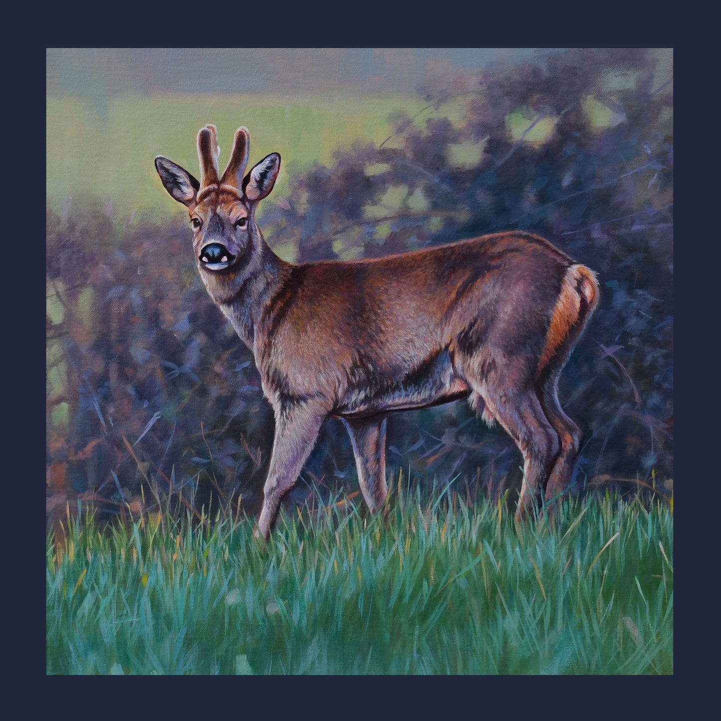 Roe Deer Cushion