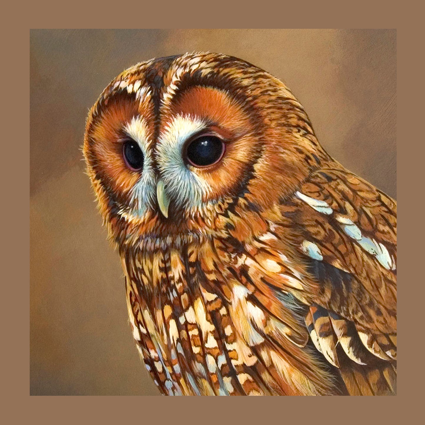Tawny Owl II Cushion