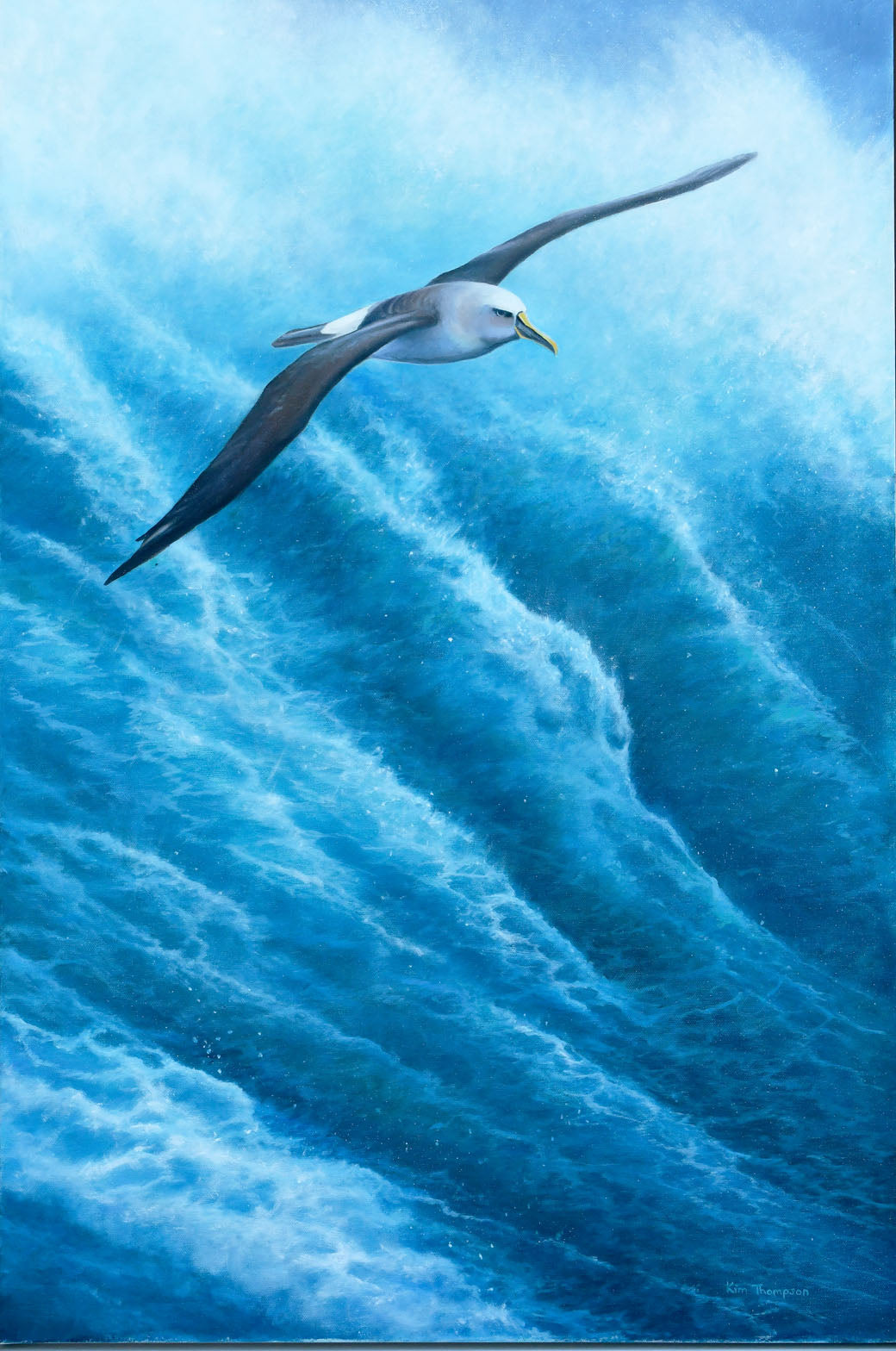 The Mariner - Albatross