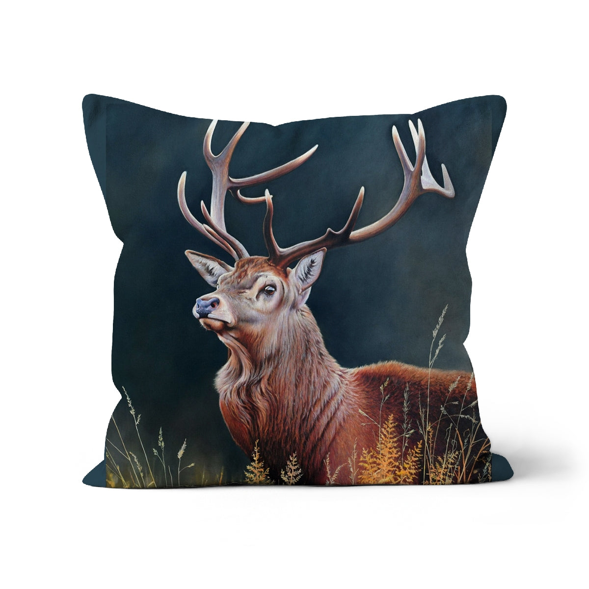 Big Red Cushion