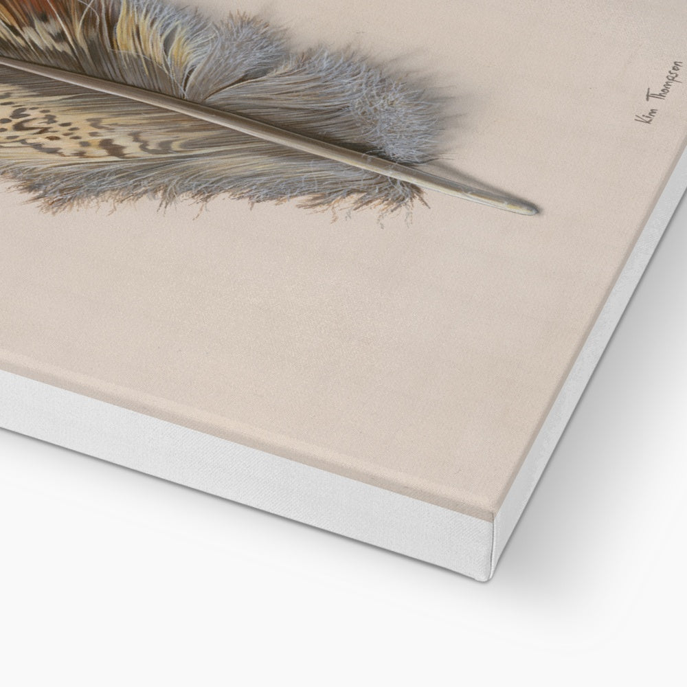 Pheasant Feather Canvas