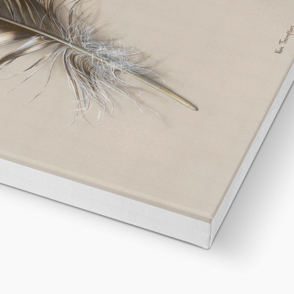 Tawny Owl Feather Canvas