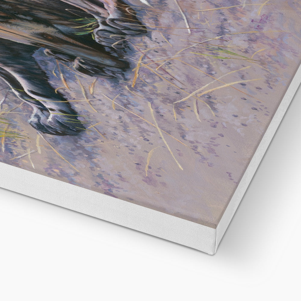The Sisters (Painted Dogs) Canvas