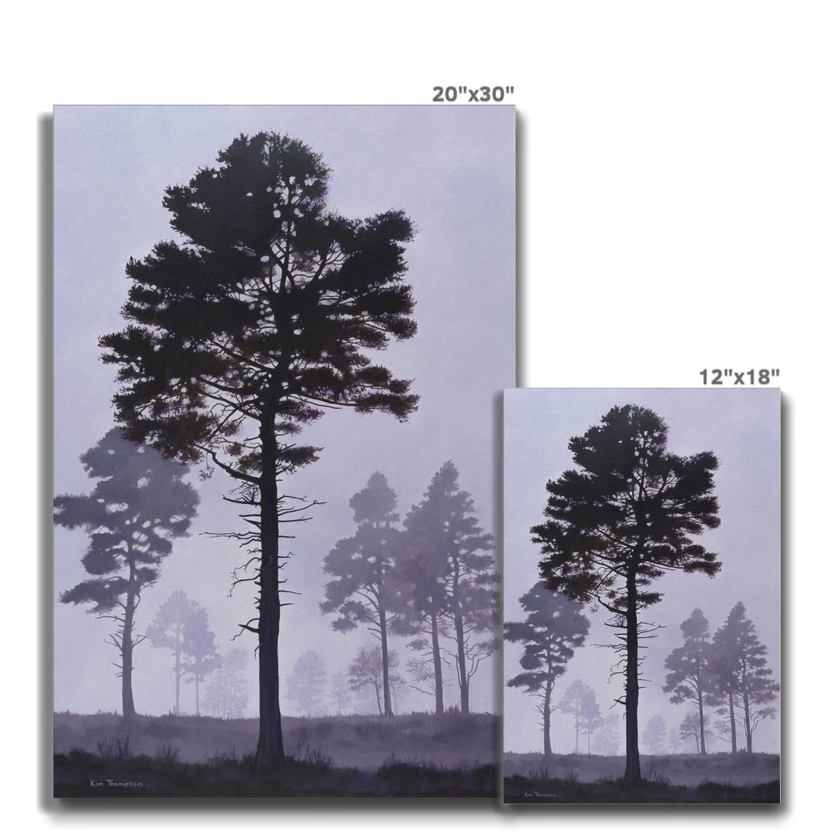New Forest Mist Canvas