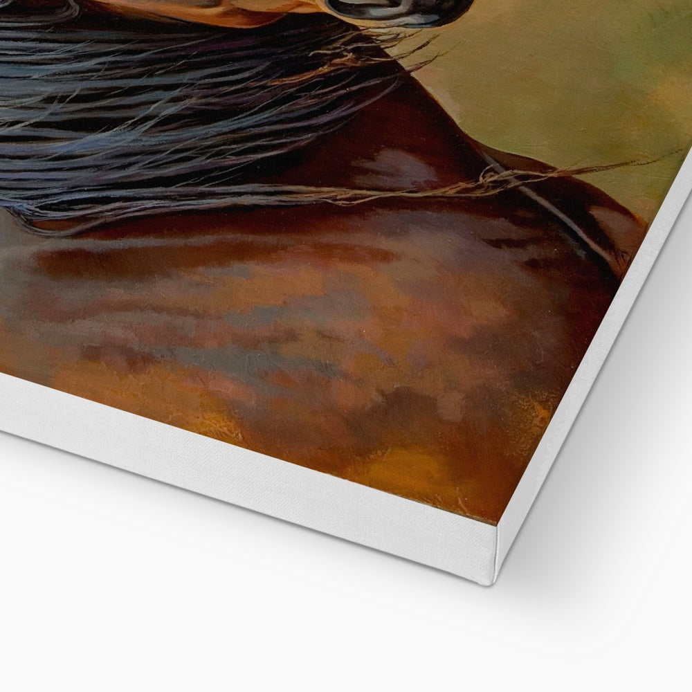 New Forest Pony Canvas