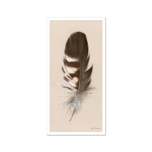 Tawny Owl Feather Hahnemühle Photo Rag Print