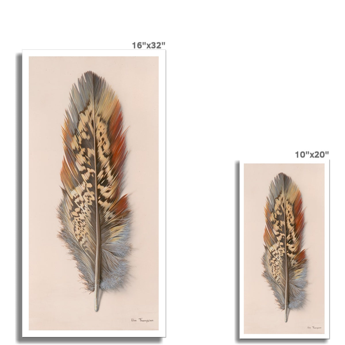 Pheasant Feather Hahnemühle Photo Rag Print