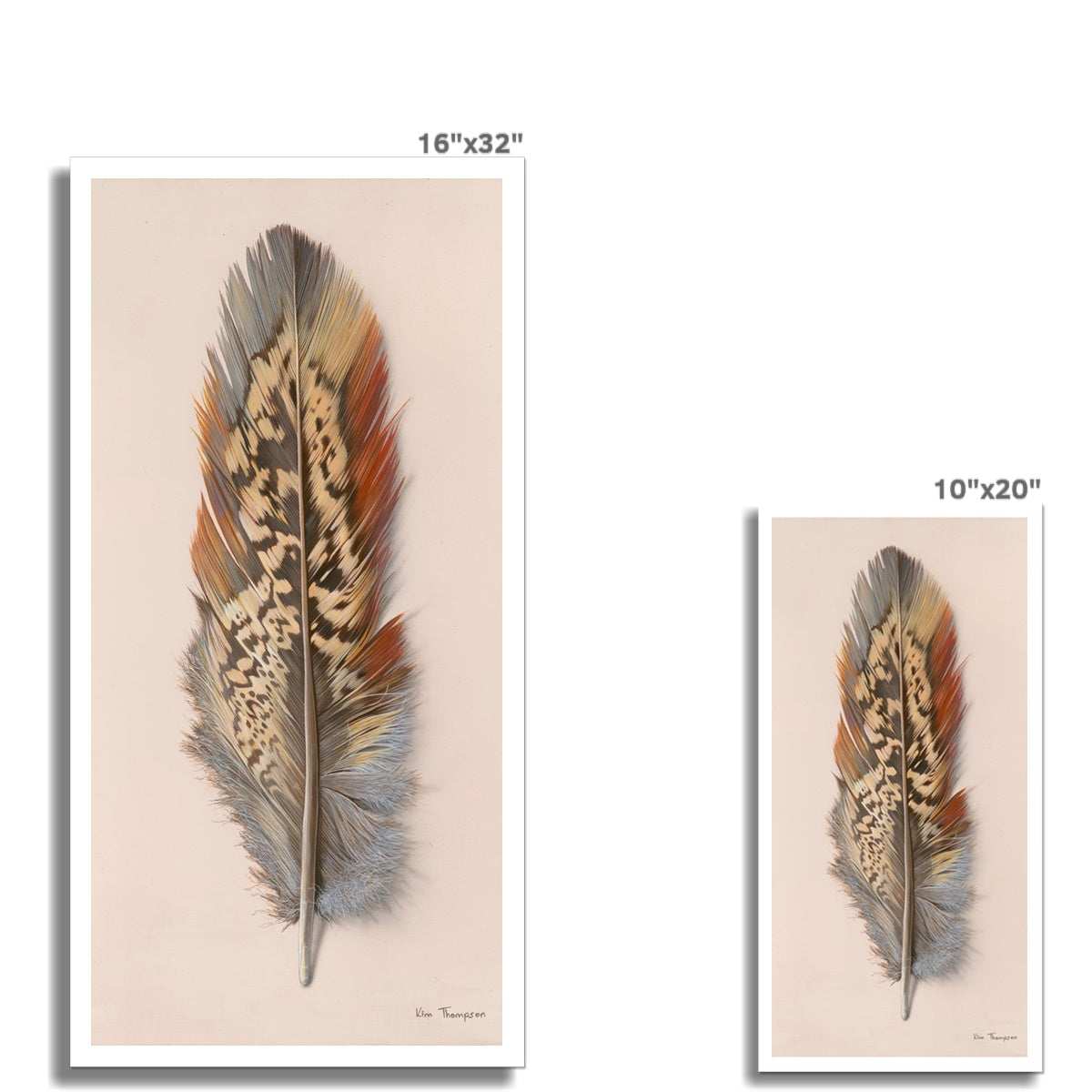Pheasant Feather Hahnemühle Photo Rag Print