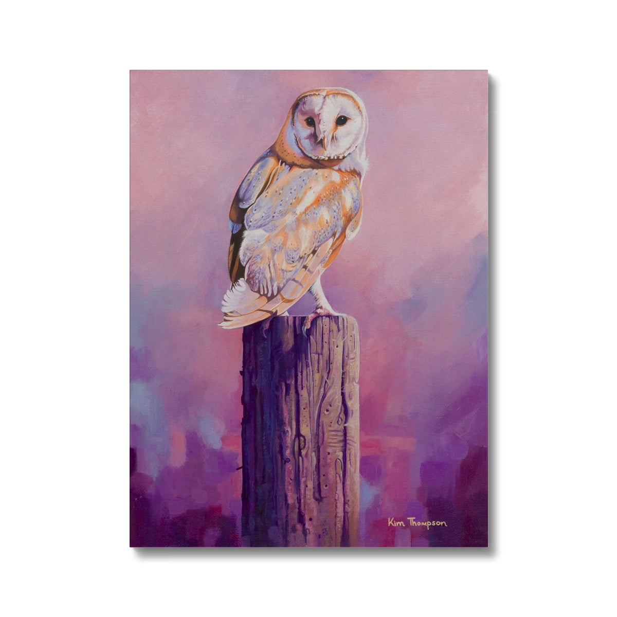 Barn Owl Sunset Canvas