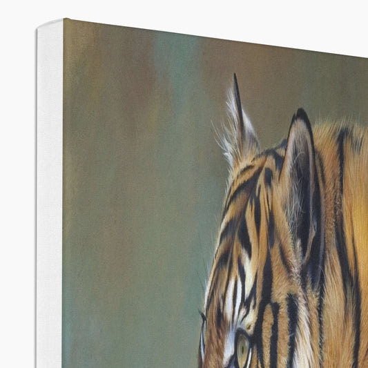 Indian Tiger Canvas