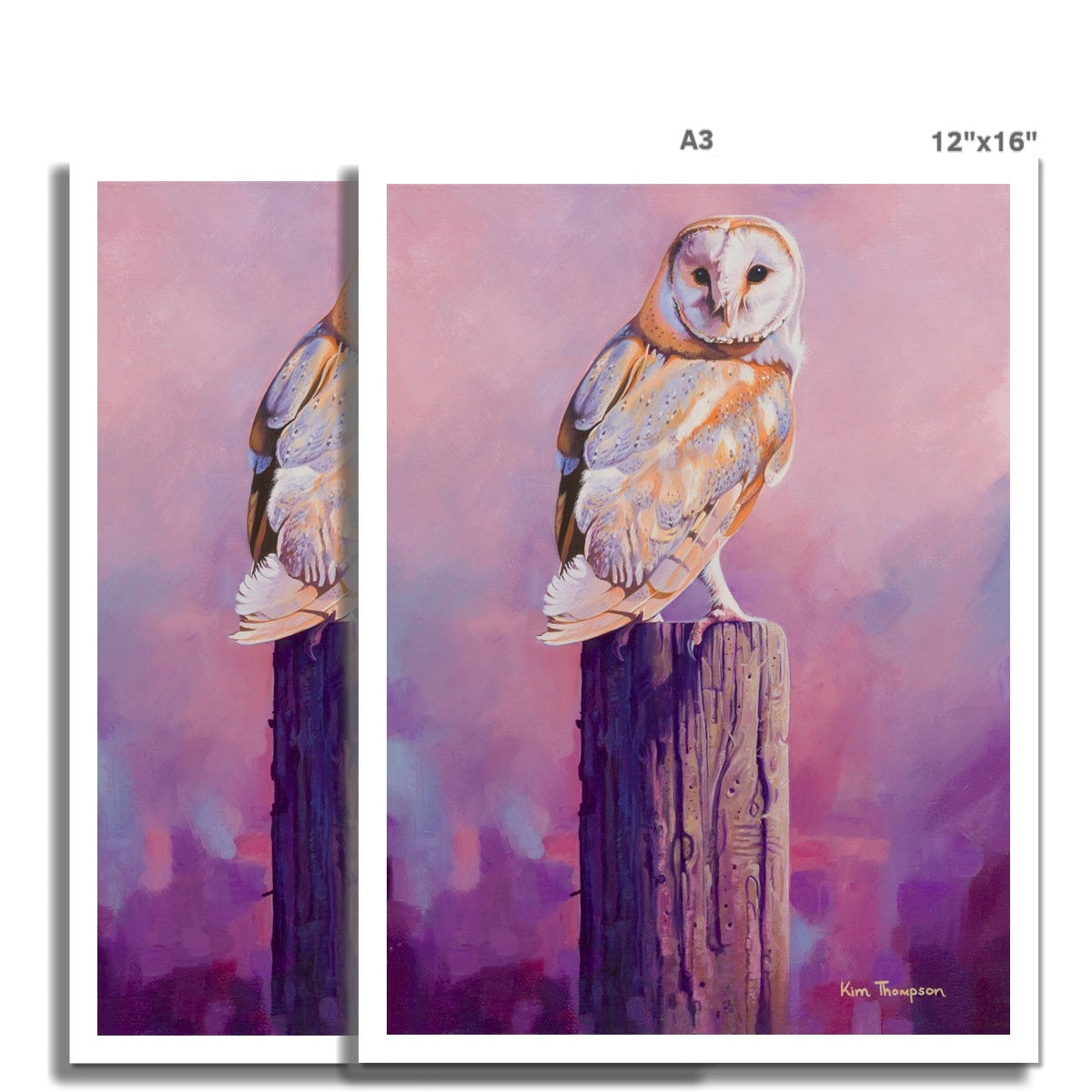 Barn Owl Sunset Hahnemühle Photo Rag Print