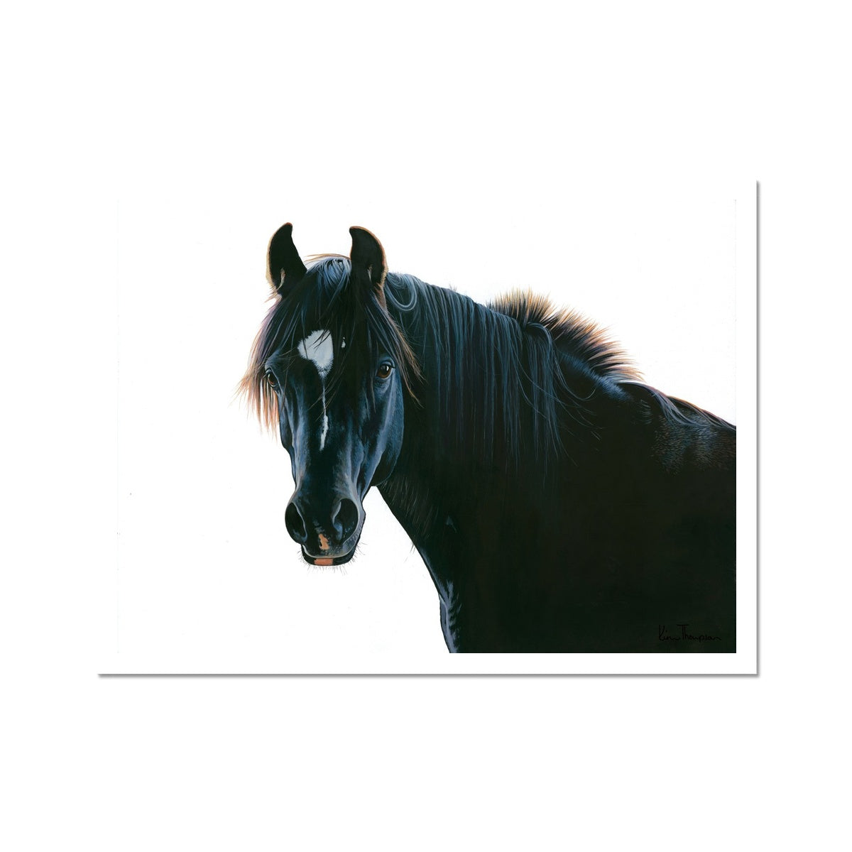 The Black Horse Hahnemühle Photo Rag Print
