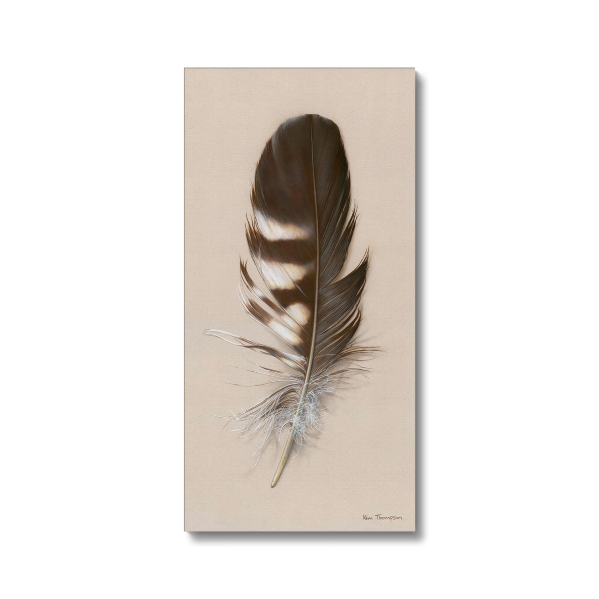 Tawny Owl Feather Canvas