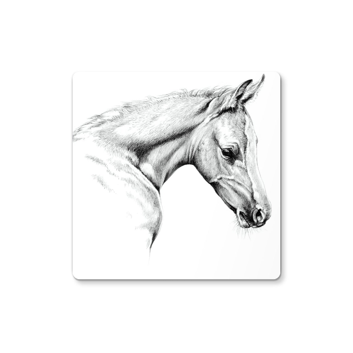 Little One Coaster