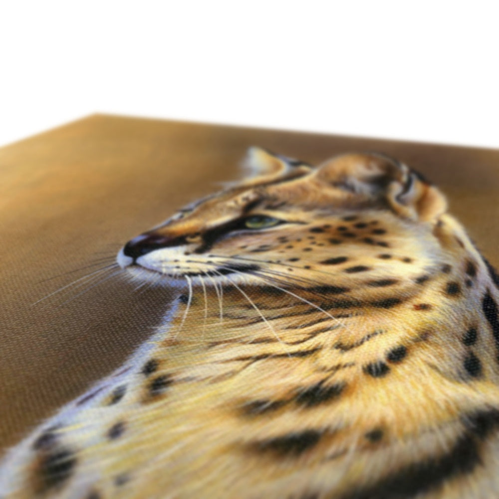 Serval Canvas
