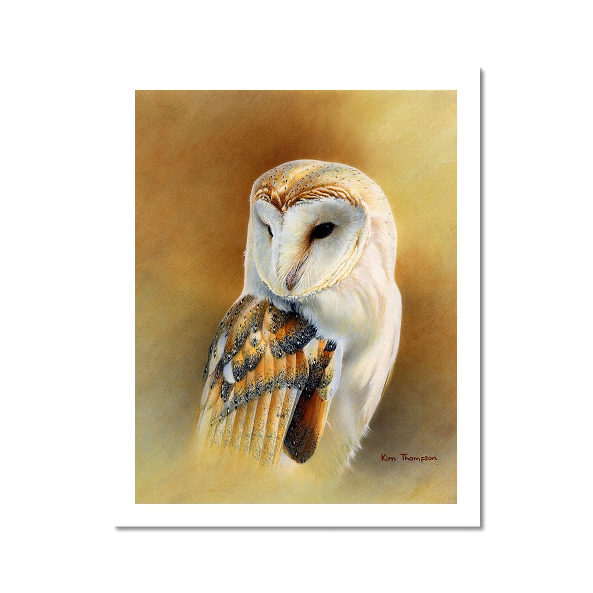 Barn Owl Study Hahnemühle Photo Rag Print
