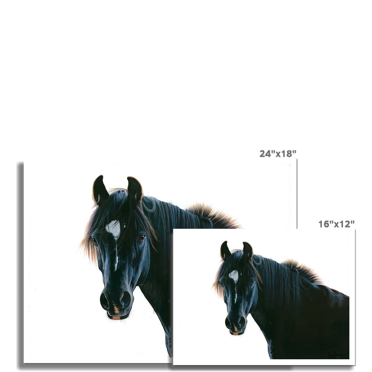 The Black Horse Hahnemühle Photo Rag Print