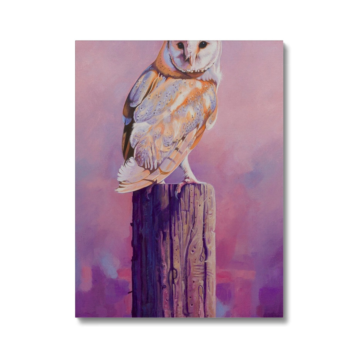 Barn Owl Sunset Canvas