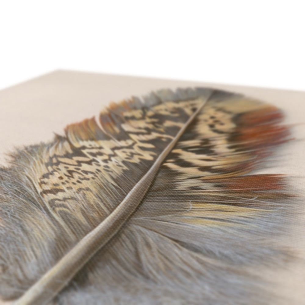 Pheasant Feather Canvas