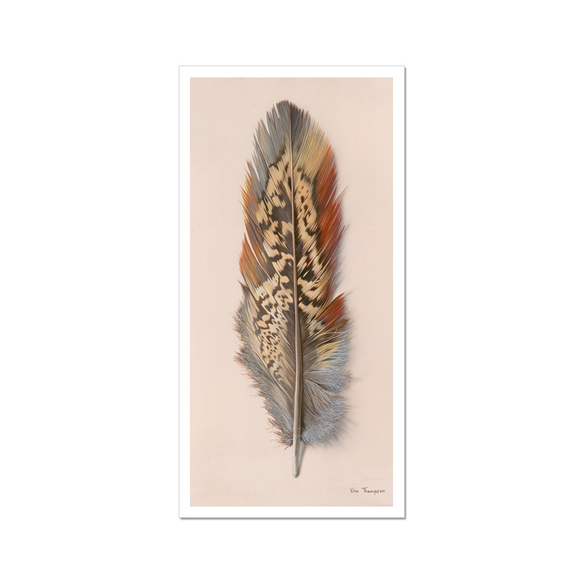 Pheasant Feather Hahnemühle Photo Rag Print