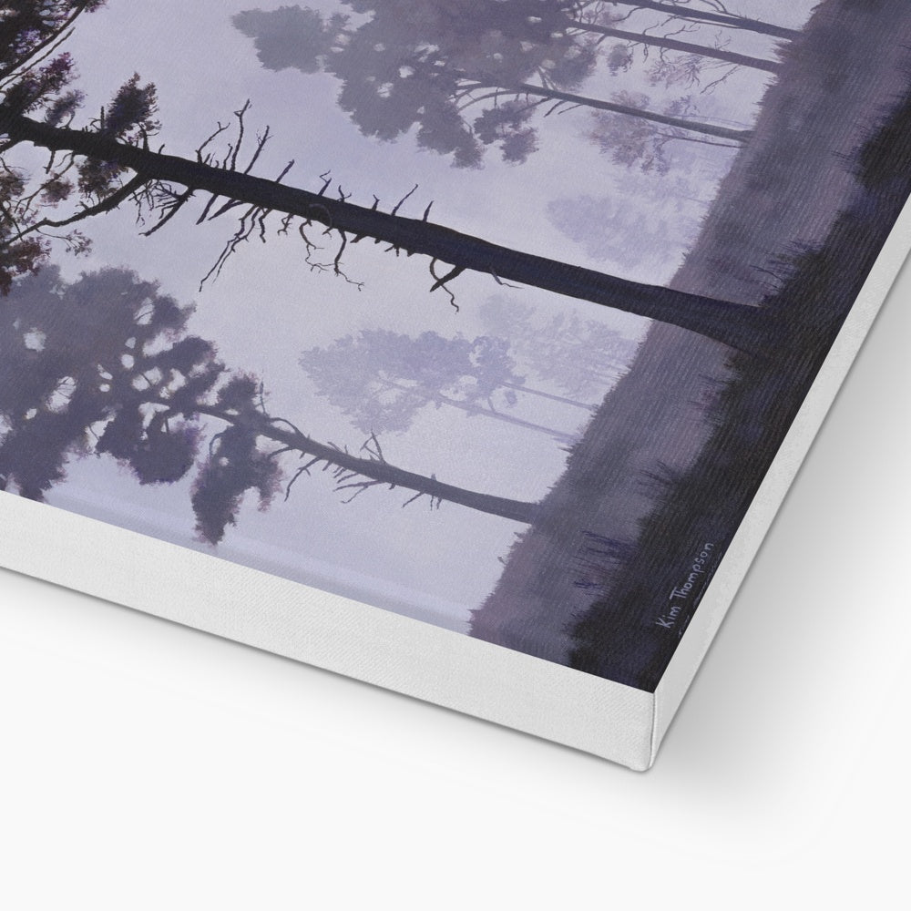 New Forest Mist Canvas