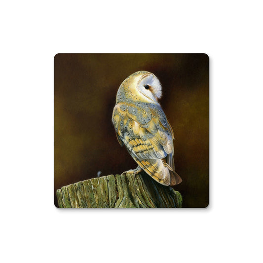 Barn Owl & Feather Coaster