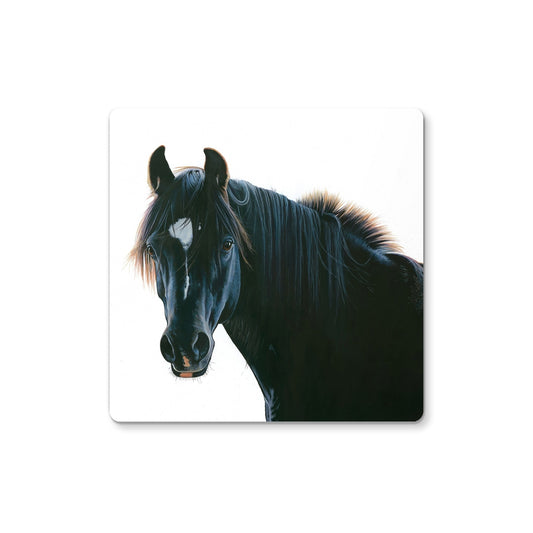The Black Horse Coaster