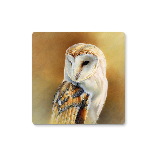 Barn Owl Study Coaster