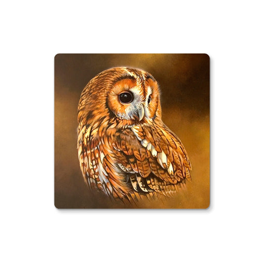 Tawny Owl I Coaster