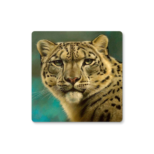 Snow Leopard Coaster