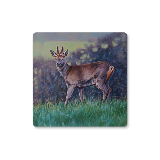 Roe Deer Coaster