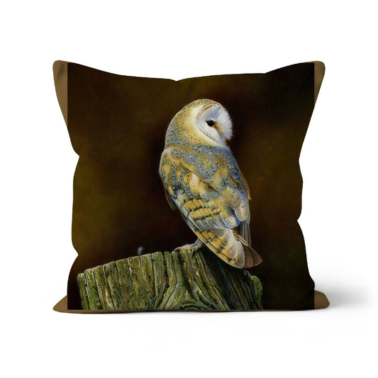 Barn Owl & Feather Cushion