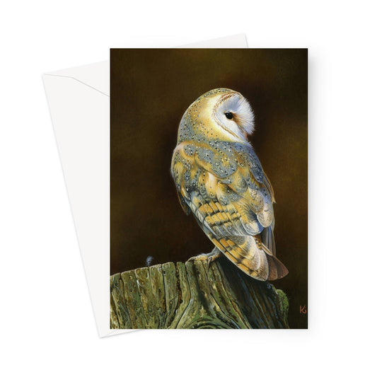 Barn Owl & Feather Greeting Card