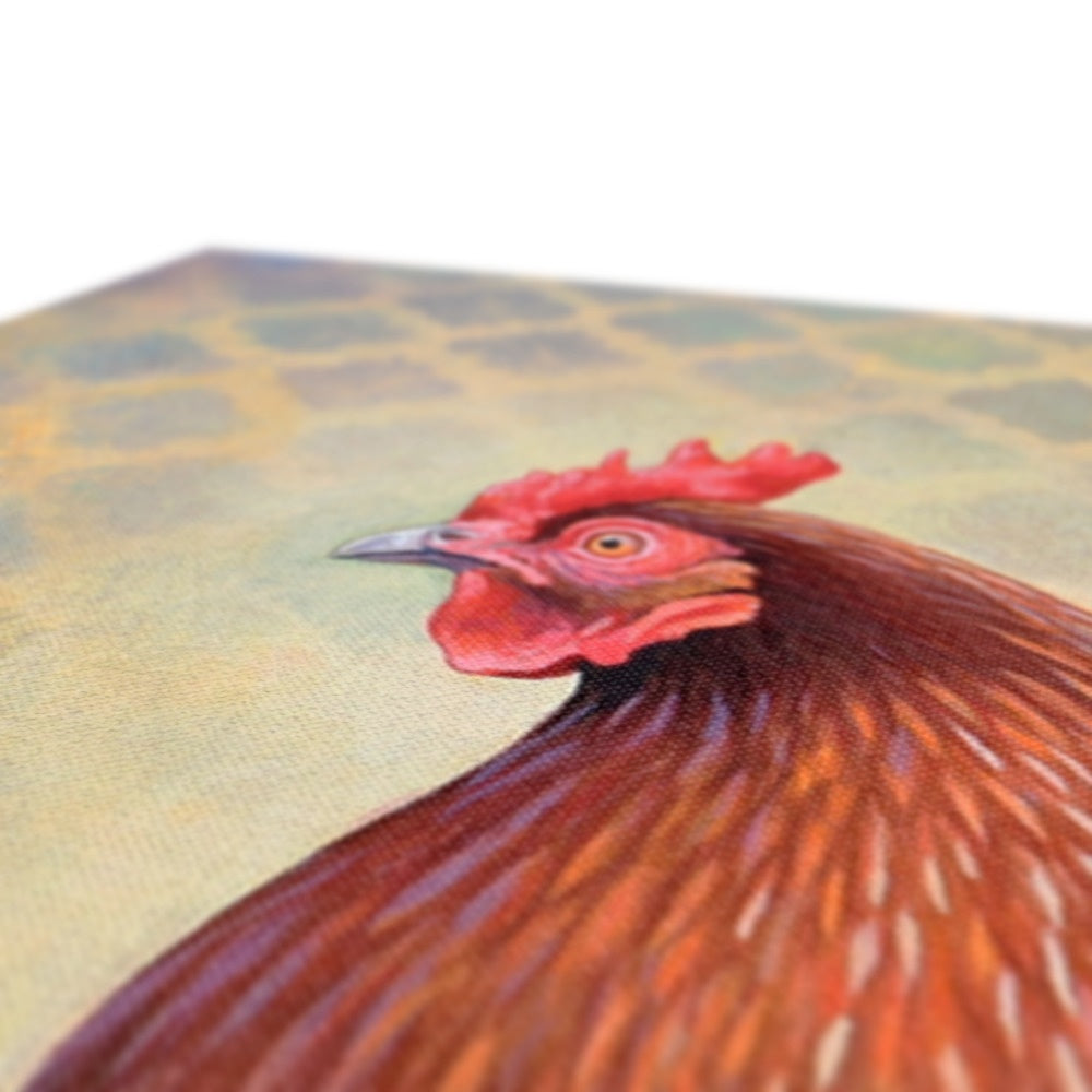 Little Red Hen Canvas