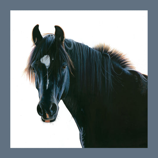 The Black Horse Cushion