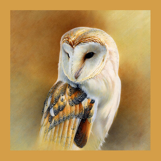 Barn Owl Study Cushion