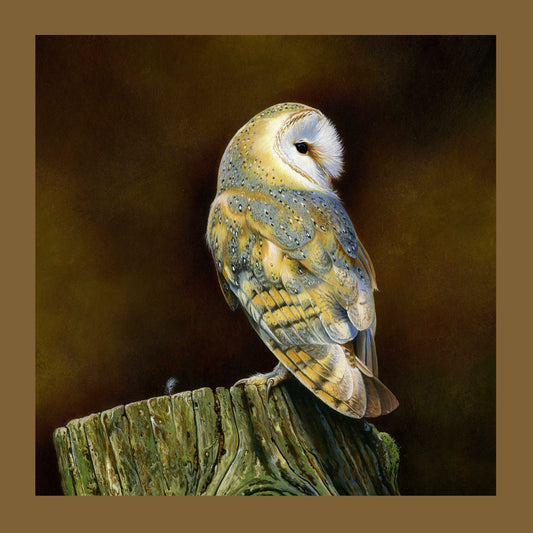 Barn Owl & Feather Cushion