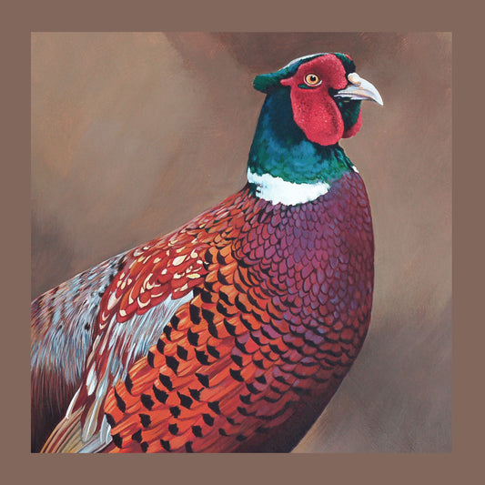 Pheasant Portrait Cushion
