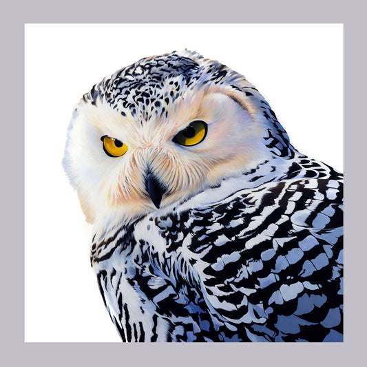 Snowy Owl Cushion