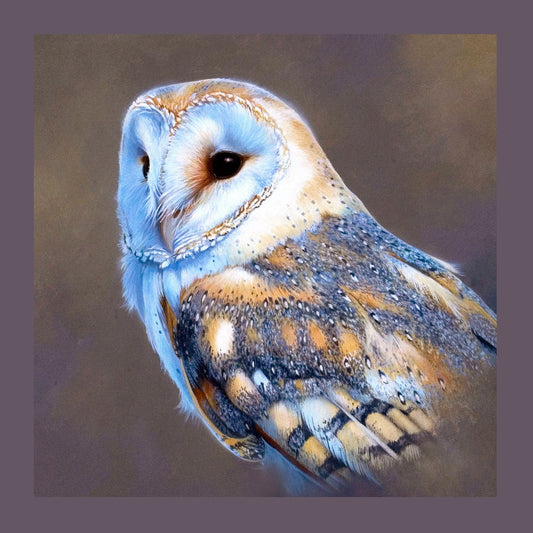 Silver Barn Owl Cushion